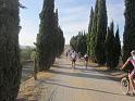 MTBTOSCANA2011  (91)
